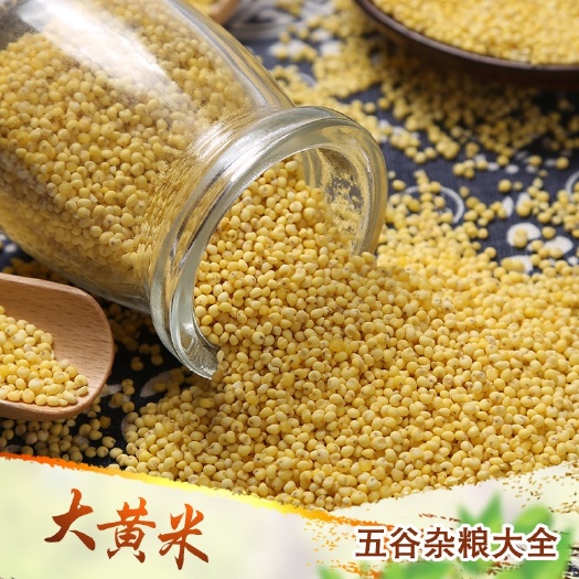大黄米批发黄粘糯米现货供应黄糯米五谷杂粮大黄米