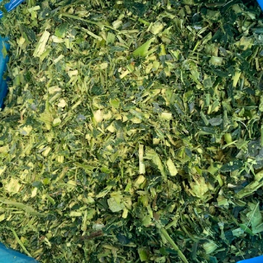 横州市牛羊草料，青储饲料，青储玉米秸秆