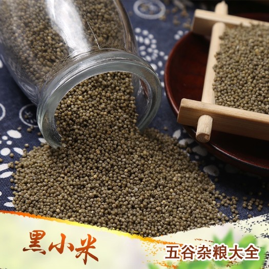 临沂黑小米批发农家自产黑小米熬粥食品加工原料现货供应五谷杂粮