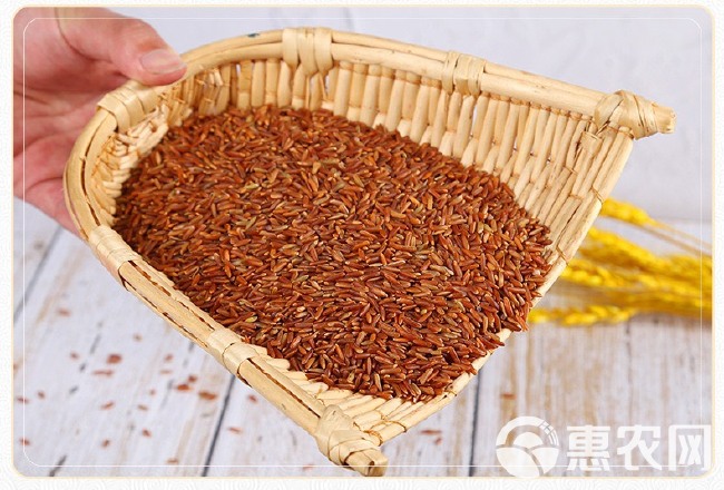红米批发长粒红米 圆粒红米红大米梗米现货供应五谷杂粮