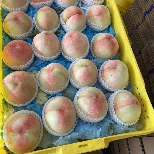无锡阳山水蜜桃白凤水蜜桃一件代发，礼盒装4到1斤的