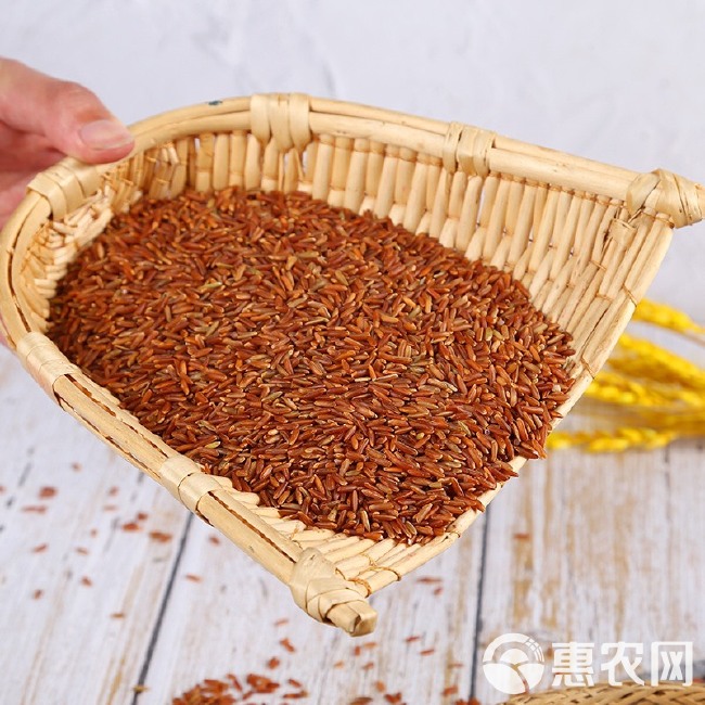 红米批发长粒红米 圆粒红米红大米梗米现货供应五谷杂粮