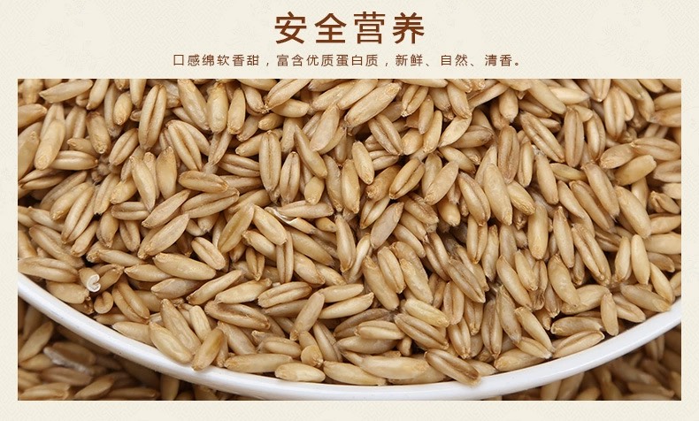 燕麦米磨粉豆浆熬粥食品加工原料燕麦现货供应五谷杂粮