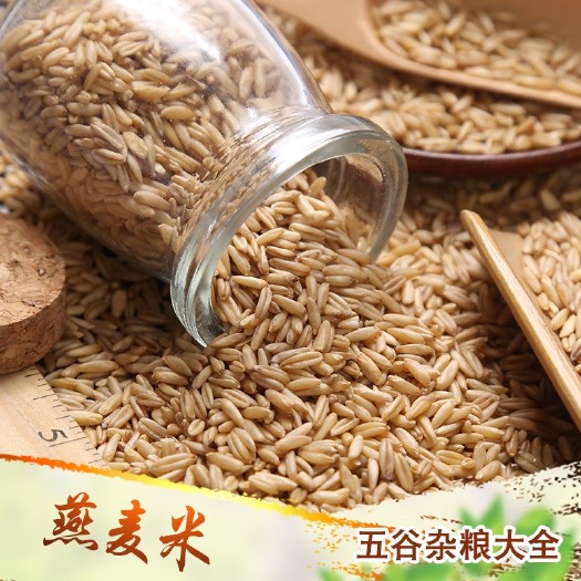 临沂燕麦米磨粉豆浆熬粥食品加工原料燕麦现货供应五谷杂粮
