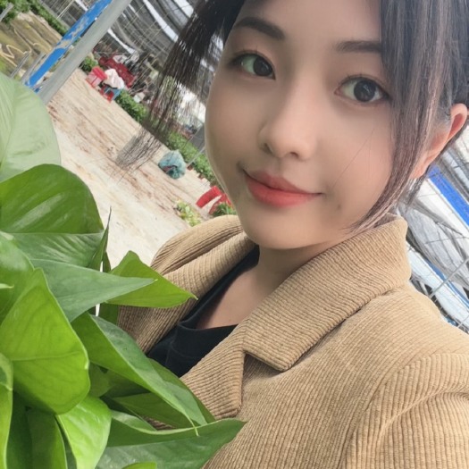 广州绿箩基地