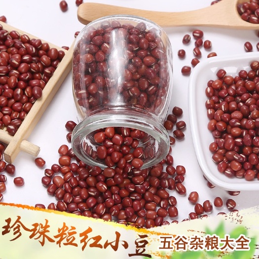 红小豆现货供应豆沙馅馅料食品加工原料大小粒红小豆五谷红豆