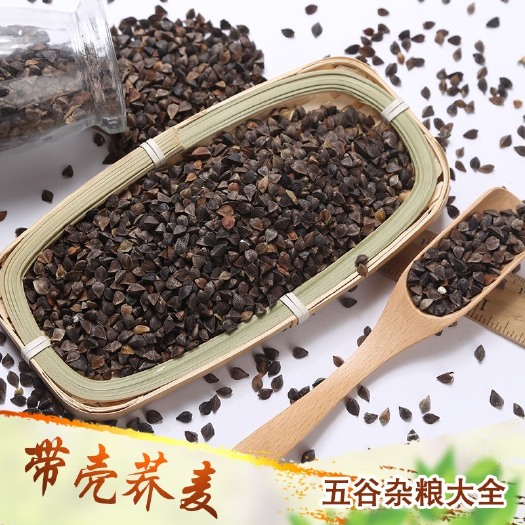 带壳荞麦酿酒饲料甜荞麦现货供应五谷杂粮黑荞麦