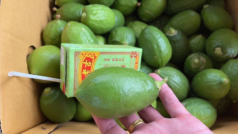 中山市广东无籽一级香水柠檬，手打柠檬茶专用，新店请多多支持！