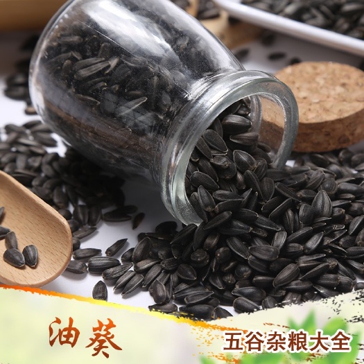 油葵黑瓜子饲料原料小瓜子黑瓜子现货供应五谷杂粮