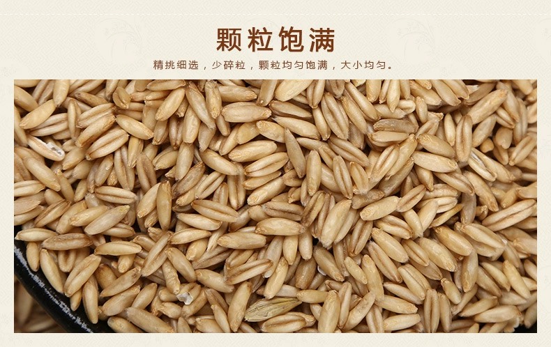 燕麦米磨粉豆浆熬粥食品加工原料燕麦现货供应五谷杂粮