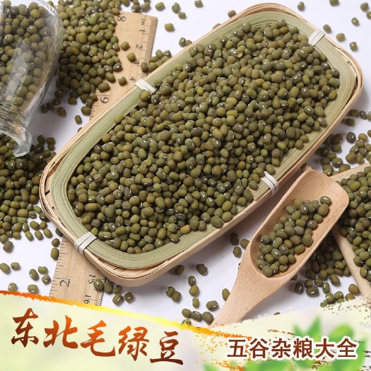 毛绿豆新货东北大小毛绿豆现货供应熬粥食品加工原料五谷杂粮