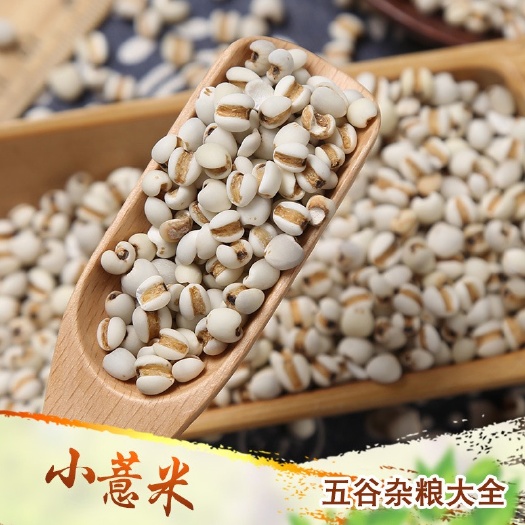临沂小薏米新货贵州小薏米薏仁米薏仁五谷粗粮现货供应