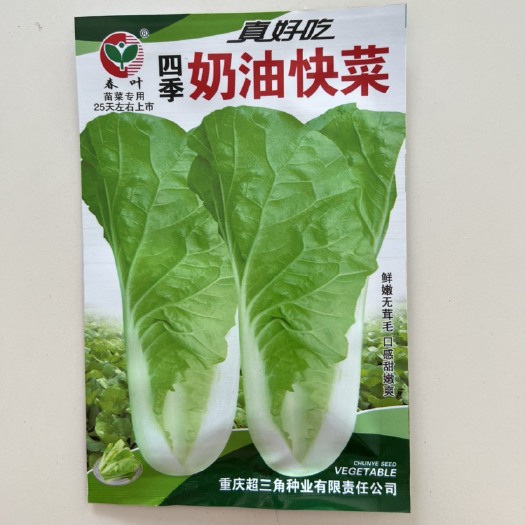 四季奶油快菜 蔬菜种子早熟清香味浓 耐热 耐湿无茸毛25克包