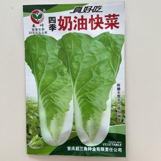 华容县四季奶油快菜 蔬菜种子早熟清香味浓 耐热 耐湿无茸毛25克包