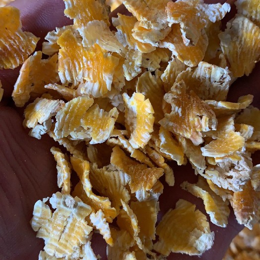 莱西市玉米压片3150大麦压片3450