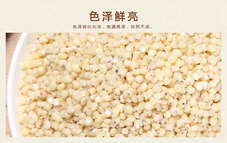批发去皮高粱米现货供应熬粥食品加工脱皮高粱米五谷杂粮