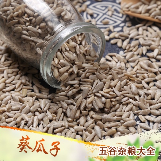 临沂批发葵花籽仁瓜子米生瓜子米食品加工现货供应五谷杂粮葵花籽米