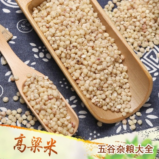 批发去皮高粱米现货供应熬粥食品加工脱皮高粱米五谷杂粮