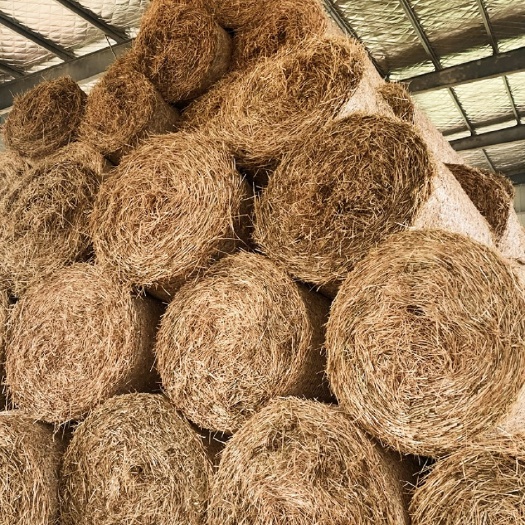 淮北出售精品小麦秸秆