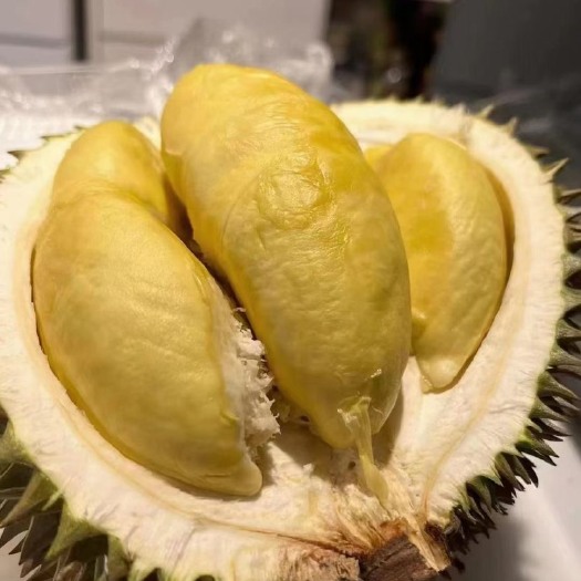 南宁泰国金枕 非诚勿扰 自然生长自然成熟