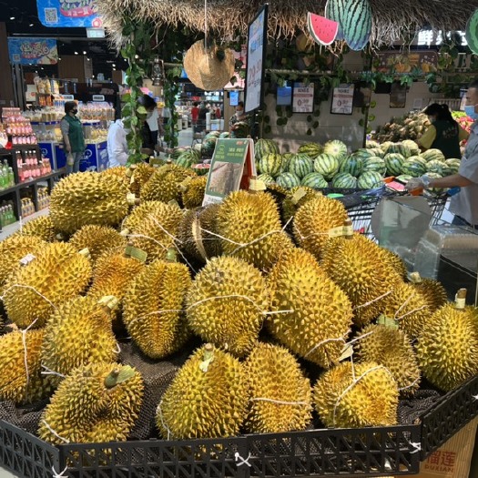 徐州正大集团金枕榴莲