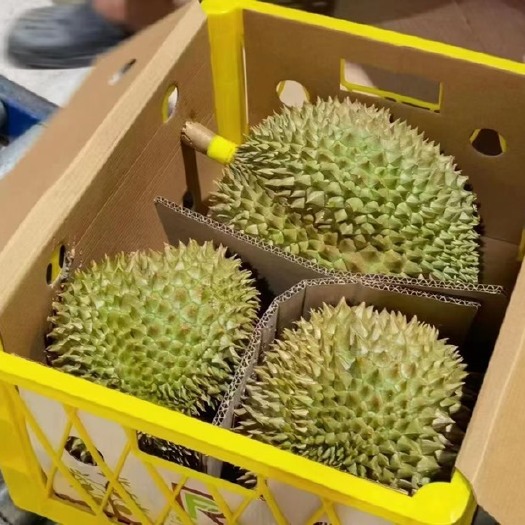 惠州泰国金枕头
