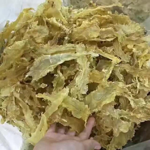 广州65头统货雪鱼胶