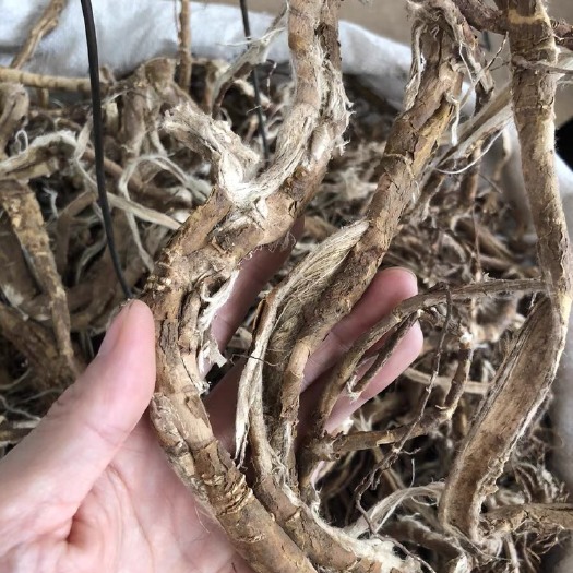 玉林了哥王皮500克 了哥王纯皮了歌王雀仔麻山豆了地棉皮