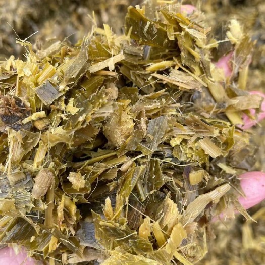 玉田县青储饲料，黄储压块，青储草