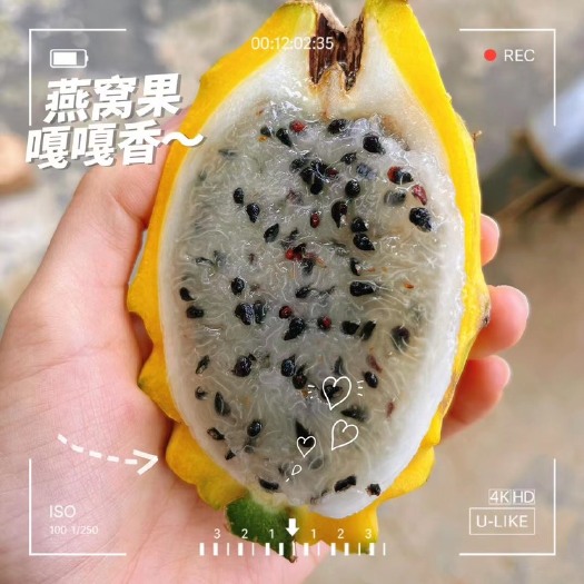 遂溪县麒麟果燕窝果