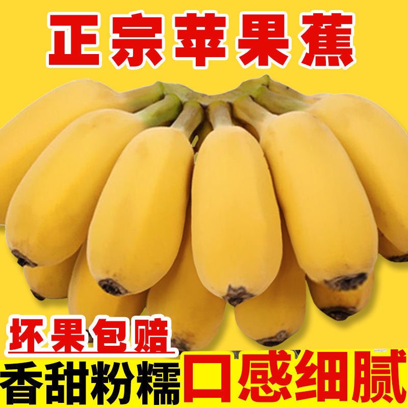 广西苹果蕉香甜小香蕉苹果粉蕉一件代发