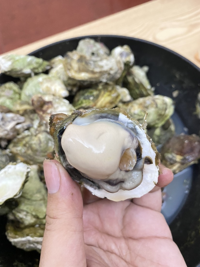 福建蚝 肥度99成！规格越来越好，肥度变肥，蒸烤不易缩水，肉