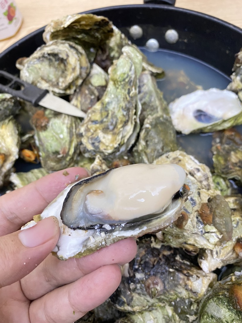 福建蚝 肥度99成！规格越来越好，肥度变肥，蒸烤不易缩水，肉