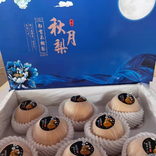 冠县供应一级秋月梨，丰水梨，绿宝石梨，黄金梨，新高梨，皇冠梨产地