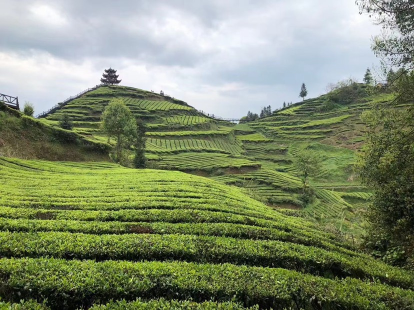 黎小媚的店