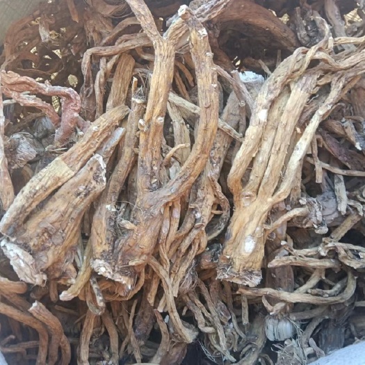 玉龙县云南家种秦艽。统货。选货  各种规格