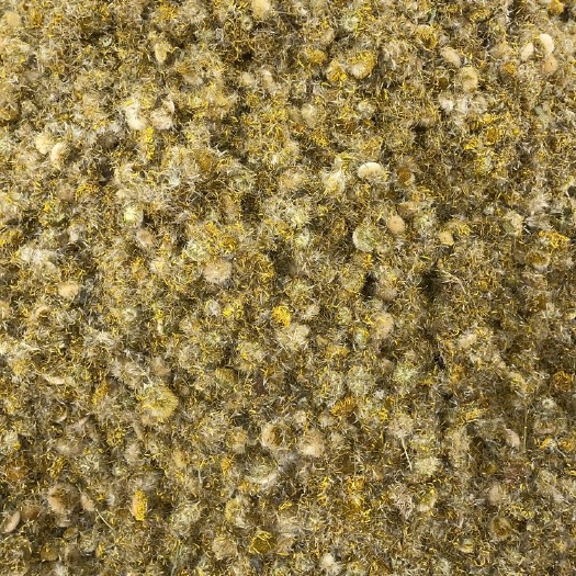 亳州旋覆花各种规格大货批发，旋覆花无黑朵大朵花符合20药典。