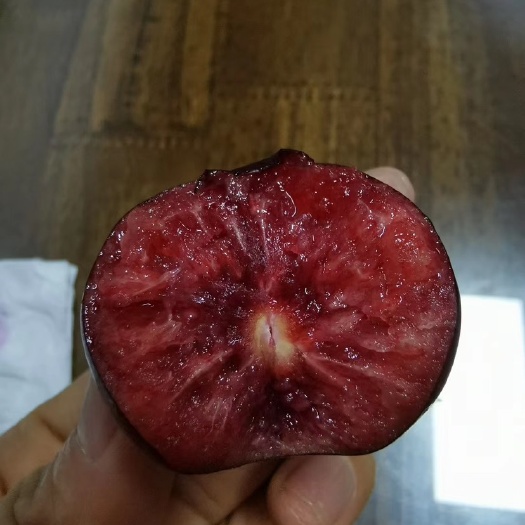 秦皇岛俄罗斯8号现货批发