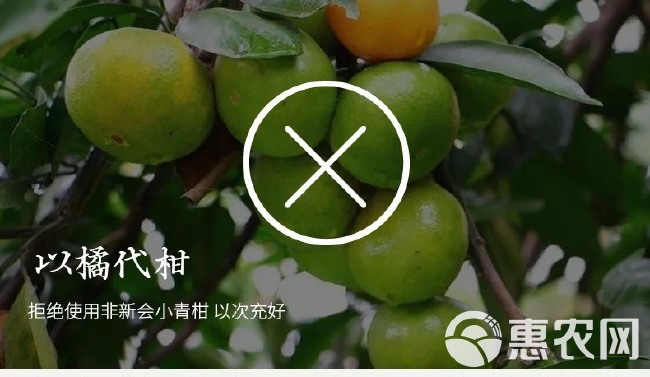 新会小青柑 普洱茶 木桶包装木箱包装 节日送礼 新会陈皮柑普