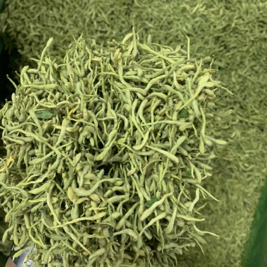 高碑店市金银花