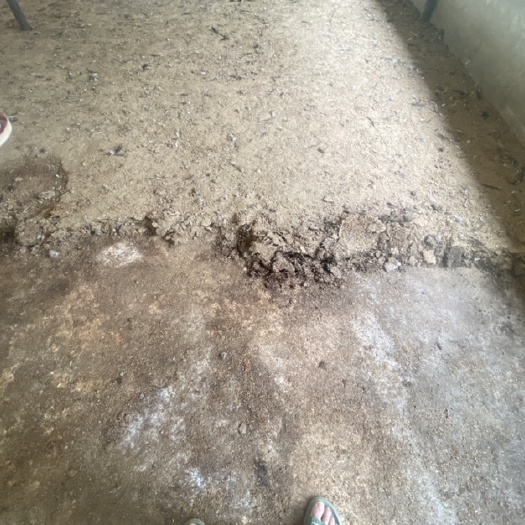 绵阳鸡粪