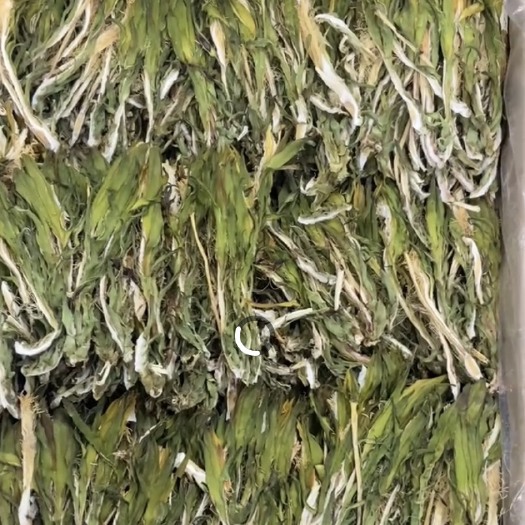 广州短霸王花
