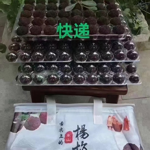 蘇州蘇州東山烏紫楊梅火熱銷售中 不催熟 不打膨大劑
