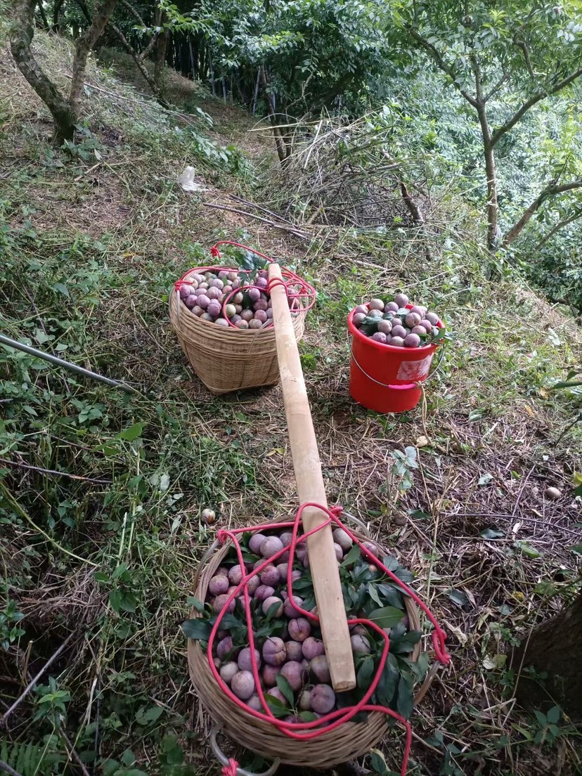 我打工早，没读过万卷书，我懂的道理都带点泪。