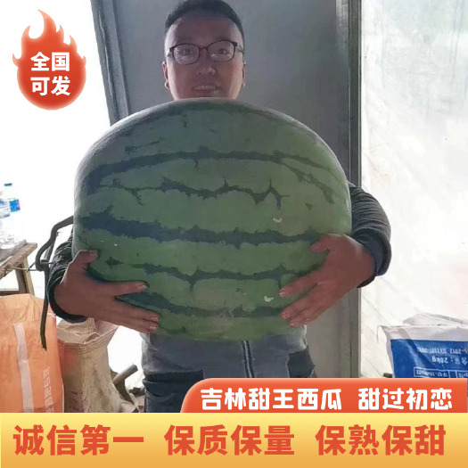 乾安县甜王西瓜  西瓜，吉林绿色优质甜王。保质保量，诚信代发。