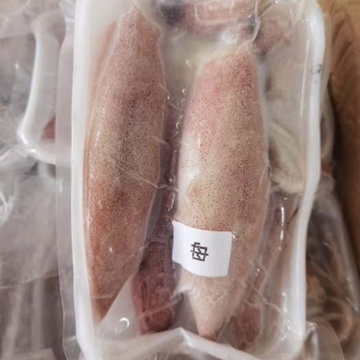 东山县带籽鱿鱼，盒装净重400克