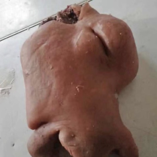 徐州水退毛牛头肉
