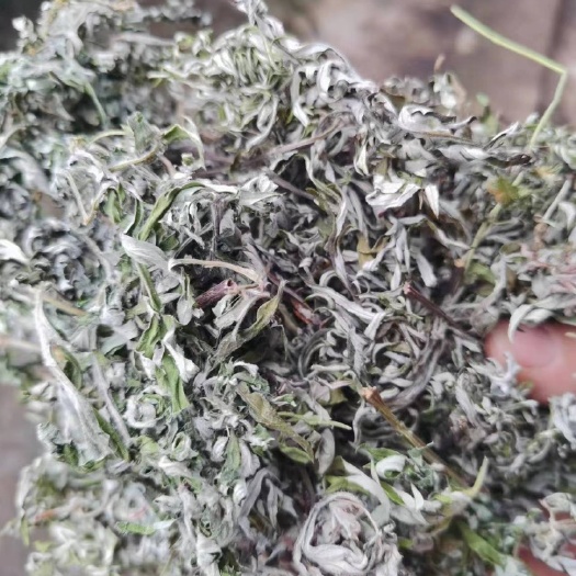 纯艾叶 干艾草叶泡脚男女艾草家用新鲜艾泡澡