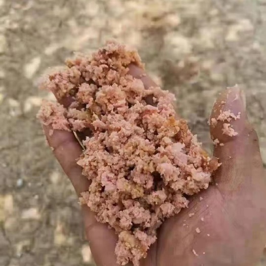 石家庄过期火腿。