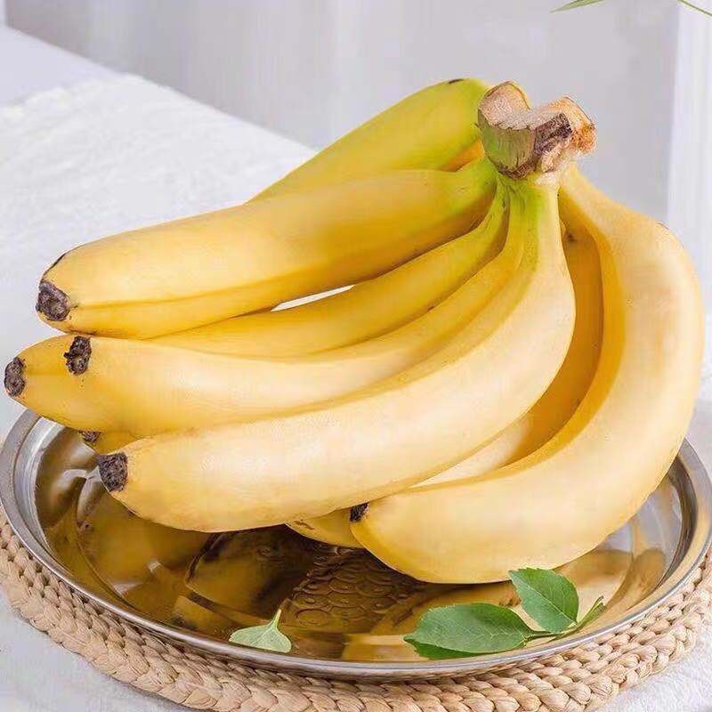 云南威廉斯香蕉当季水果新鲜包邮整箱